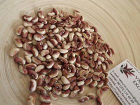 Mozaik méteres bab , Vigna unguiculata, hüvelyes